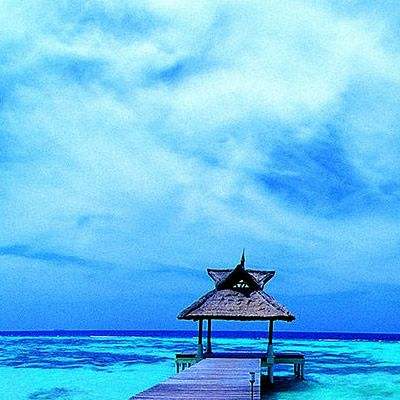 Bsport体育手机在线登录入口