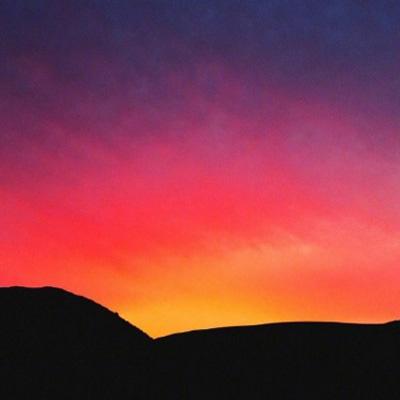 大发彩票app下载手机版