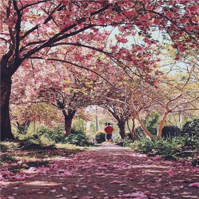 大发黄金版888下载手机app下载