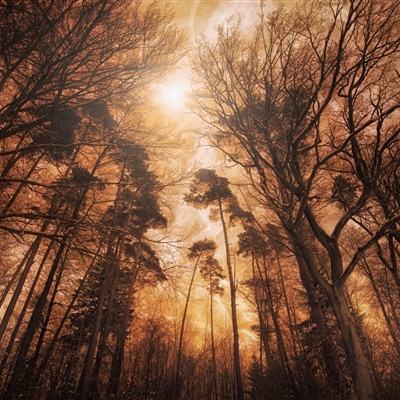 三亿体育手机app下载