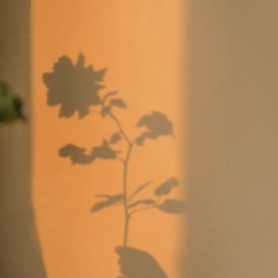 江南体育下载下载手机版