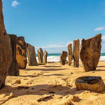 NG体育·(南宫)app下载