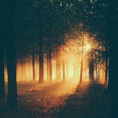 博鱼app下载手机版