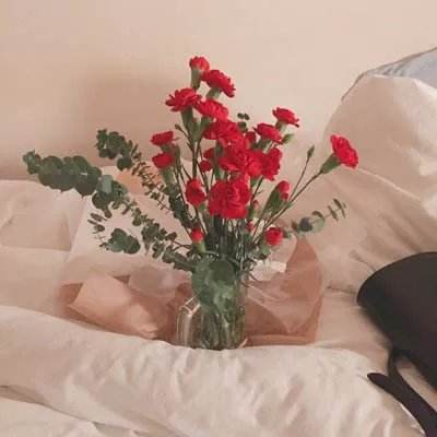 722cc大发彩神手机app下载