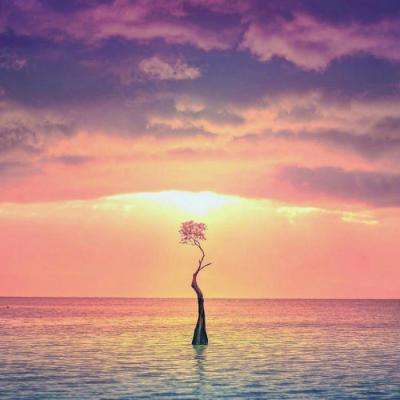 IM电竞平台下载