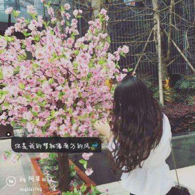 BB贝博ballbet官网登录器